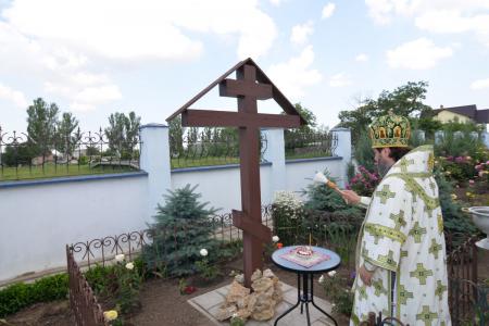 ����������� �������� ����������� �������������� ���������