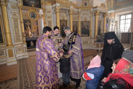 50-����� �� ��� ������������ ����������� �������� ����������