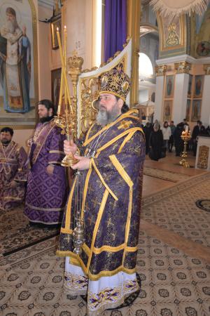 50-����� �� ��� ������������ ����������� �������� ����������