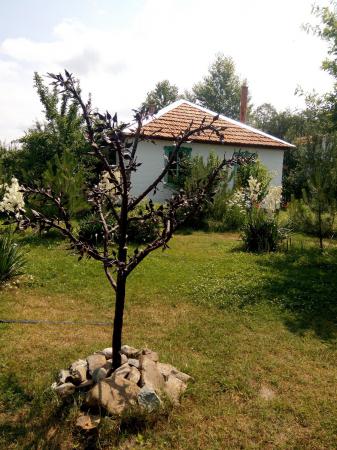 ������������ ������� ���������� ����� ��� �����-��������� ������������ ������ ������� ��������� �������-�������������� ���������