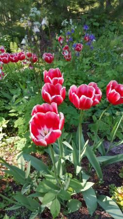 ������������ � �����-�������������� ��������� �� �������� (+�����)