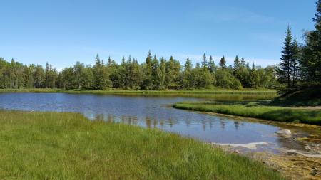 ������������ � �����-�������������� ��������� �� �������� (+�����)