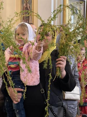 ������� ����������� � �����-��������� ������ ������� (+�����)