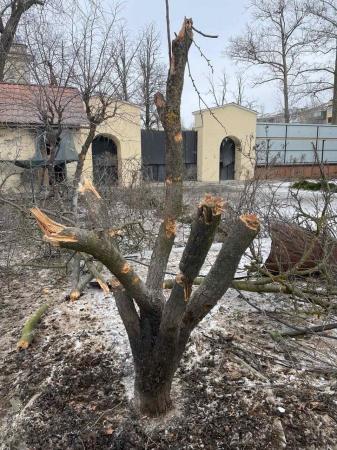 ������� ������������� �������� ���������� �������