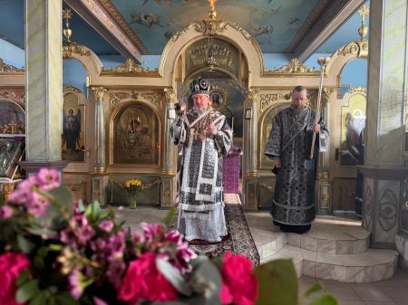 ���������� ����� ������ ���� � ������� �������� �� ����