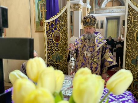 ���������� ����� �����-����������� ������������� ������ �. ������