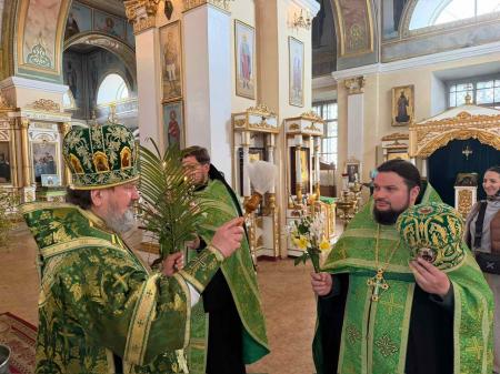 �������� ����������� ������ ���� 